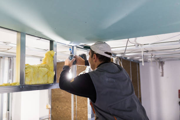 Types of Insulation We Offer in Rising Sun Lebanon, DE