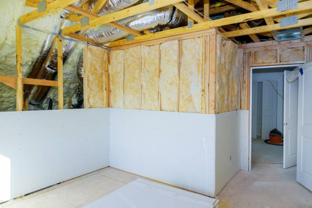 Best Geographic-Specific Insulation Services in Rising Sun Lebanon, DE