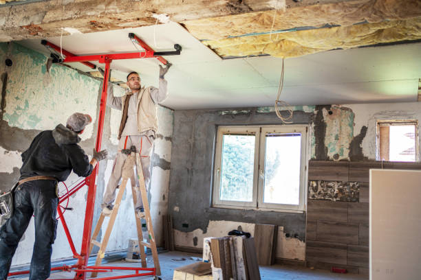 Best Specialized Insulation Services in Rising Sun Lebanon, DE