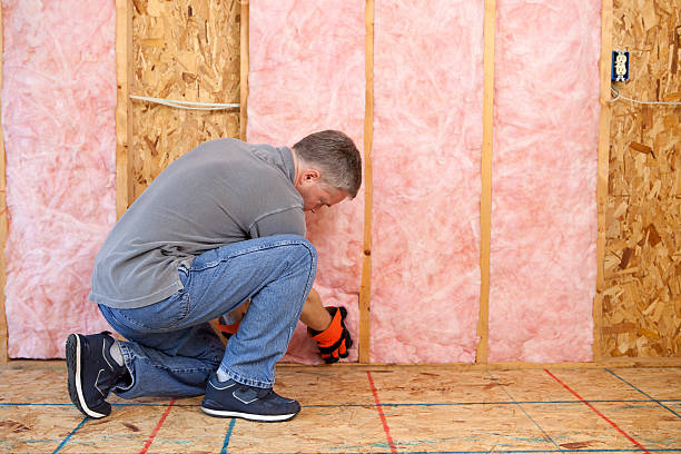 Best Blown-in Insulation in Rising Sun Lebanon, DE